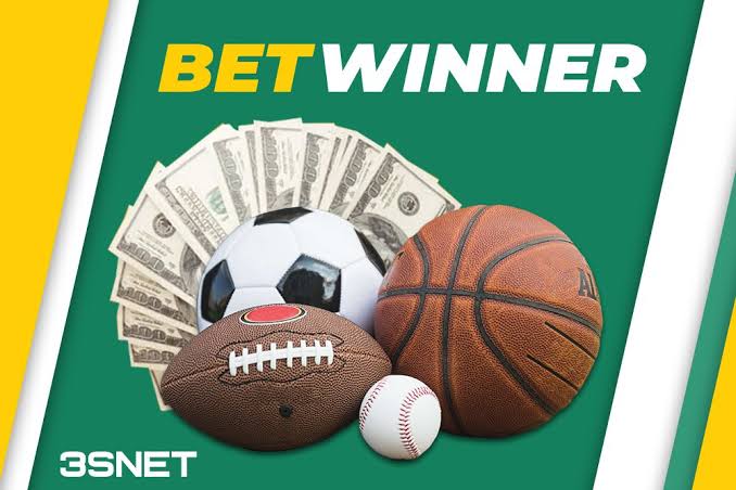 Explore BetWinner Your Comprehensive Guide to Betting